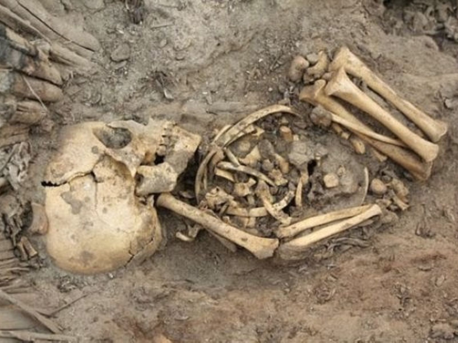 Em 1988, arqueólogos fizeram uma descoberta chocante em um esgoto bizantino em Ashkelon, em Israel. Eles encontraram ossadas de cerca de 100 bebês.