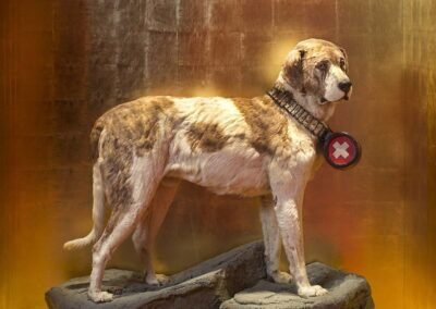 Barry, um cão São Bernardo que viveu no Hospício de Gran St Bernard entre 1800 e 1814, é celebrado como um dos mais famosos cães de resgate da história.