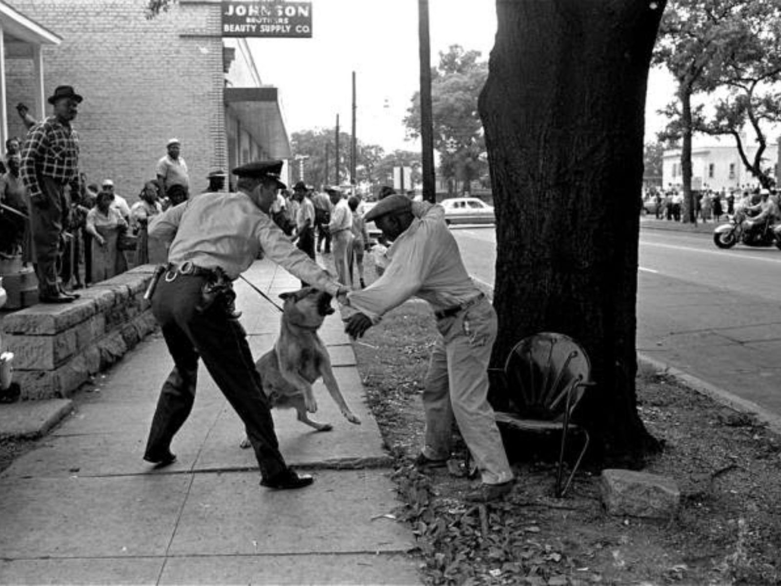 As manifestações de 1963 em Birmingham, lideradas por Martin Luther King Jr., representam um capítulo crucial na história dos direitos civis nos Estados Unidos. As imagens de violência policial contra manifestantes pacíficos, incluindo crianças, ajudaram a despertar a consciência nacional e internacional sobre a realidade da segregação racial.