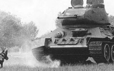 Cães Antitanques: História de Uma Tática Cruel e Falha