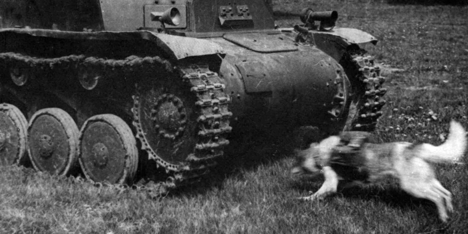 Ilustração mostra cão anti-tanque correndo em direção a um tanque durante treinamento. O problema fatal da estratégia era que os animais eram treinados com tanques soviéticos parados. Em combate real, corriam para os tanques errados.
