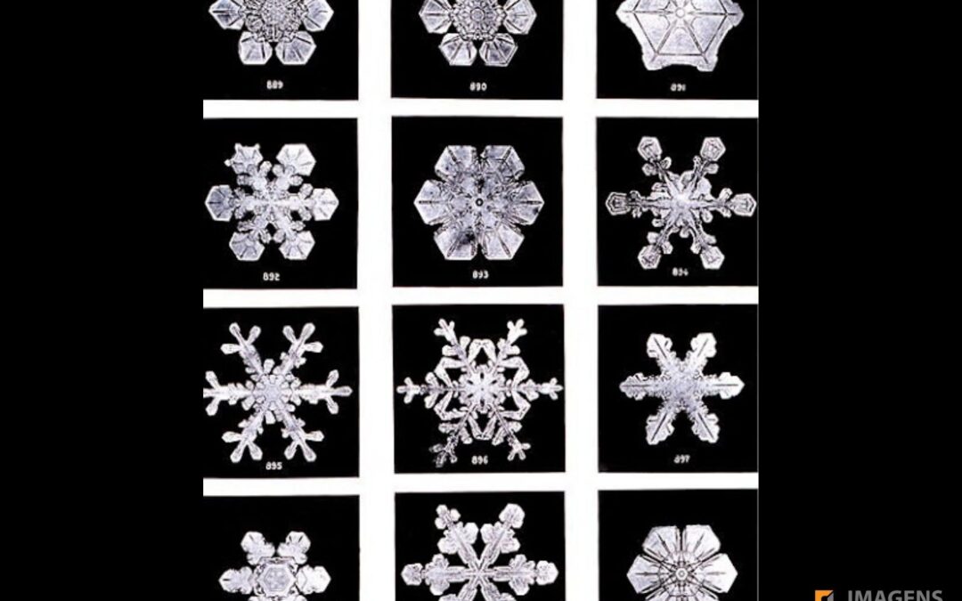 Cristais de Neve – Wilson Bentley Inova a Meteorologia