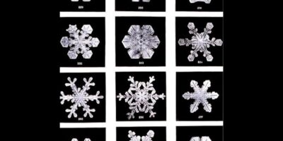 Utilizando um microscópio acoplado a uma câmera, Bentley conseguiu fotografar a estrutura delicada e complexa dos cristais de neve.