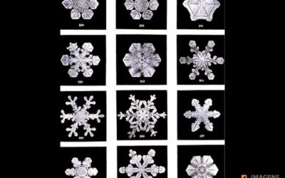 Cristais de Neve – Wilson Bentley Inova a Meteorologia