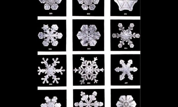 Flocos de Neve – Wilson Bentley Inova a Meteorologia