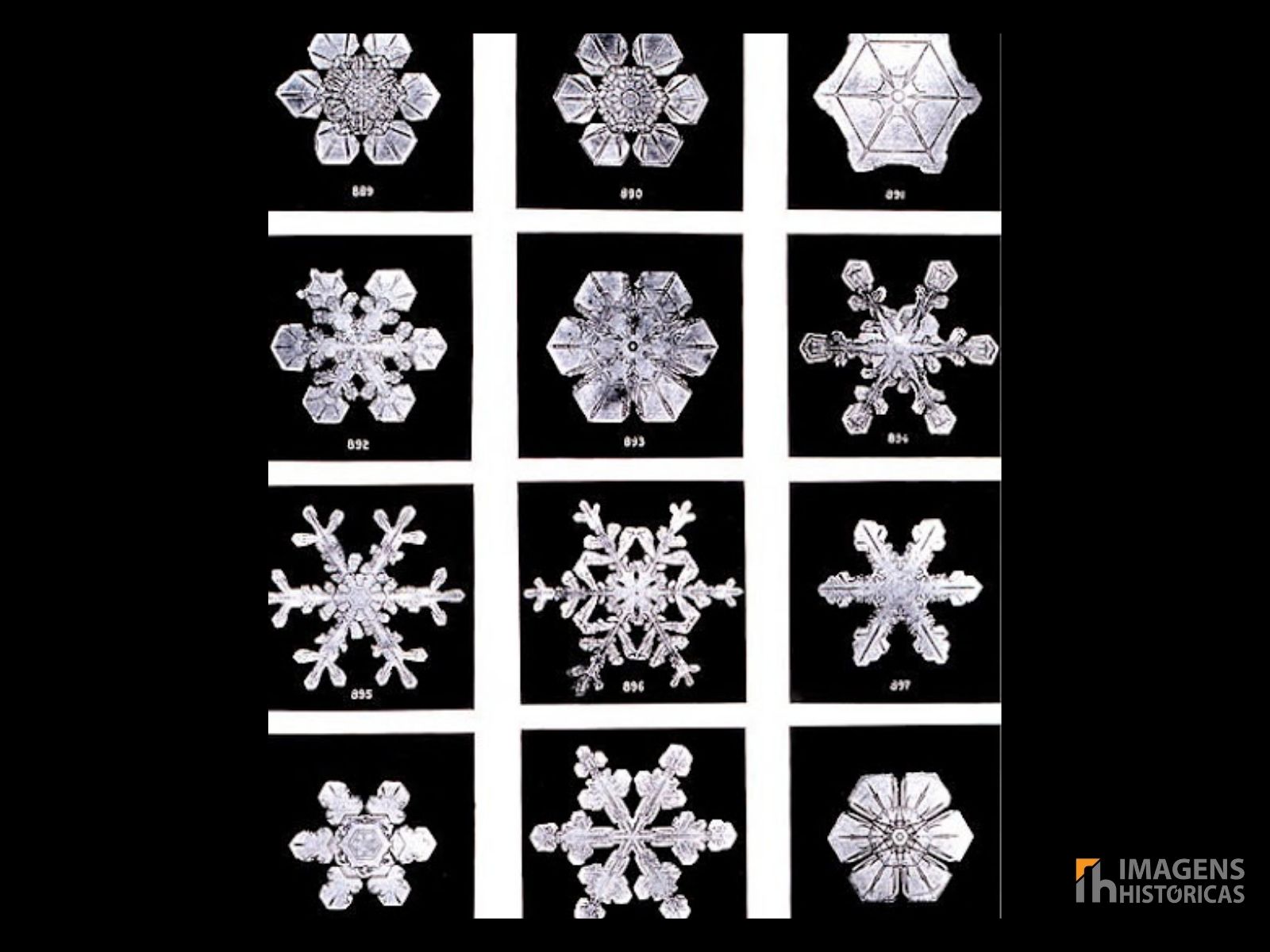 Utilizando um microscópio acoplado a uma câmera, Bentley conseguiu fotografar a estrutura delicada e complexa dos cristais de neve. Utilizando um microscópio acoplado a uma câmera, Bentley conseguiu fotografar a estrutura delicada e complexa dos cristais de neve.