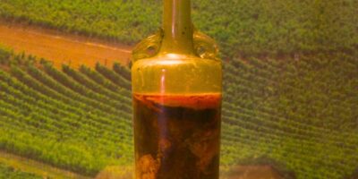 A garrafa de vinho romano encontrada em um túmulo perto de Speyer, na Alemanha, é uma das relíquias mais fascinantes e bem preservadas da antiguidade. Exposta desde o século XIX no Museu Histórico do Palatinado, em Speyer, a garrafa é considerada o vinho mais antigo do mundo ainda em estado líquido, datando de aproximadamente 325 d.C. 