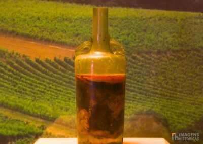 A garrafa de vinho romano encontrada em um túmulo perto de Speyer, na Alemanha, é uma das relíquias mais fascinantes e bem preservadas da antiguidade. Exposta desde o século XIX no Museu Histórico do Palatinado, em Speyer, a garrafa é considerada o vinho mais antigo do mundo ainda em estado líquido, datando de aproximadamente 325 d.C. 