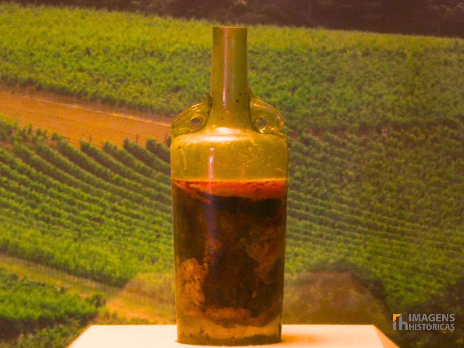 A garrafa de vinho romano encontrada em um túmulo perto de Speyer, na Alemanha, é uma das relíquias mais fascinantes e bem preservadas da antiguidade. Exposta desde o século XIX no Museu Histórico do Palatinado, em Speyer, a garrafa é considerada o vinho mais antigo do mundo ainda em estado líquido, datando de aproximadamente 325 d.C. 