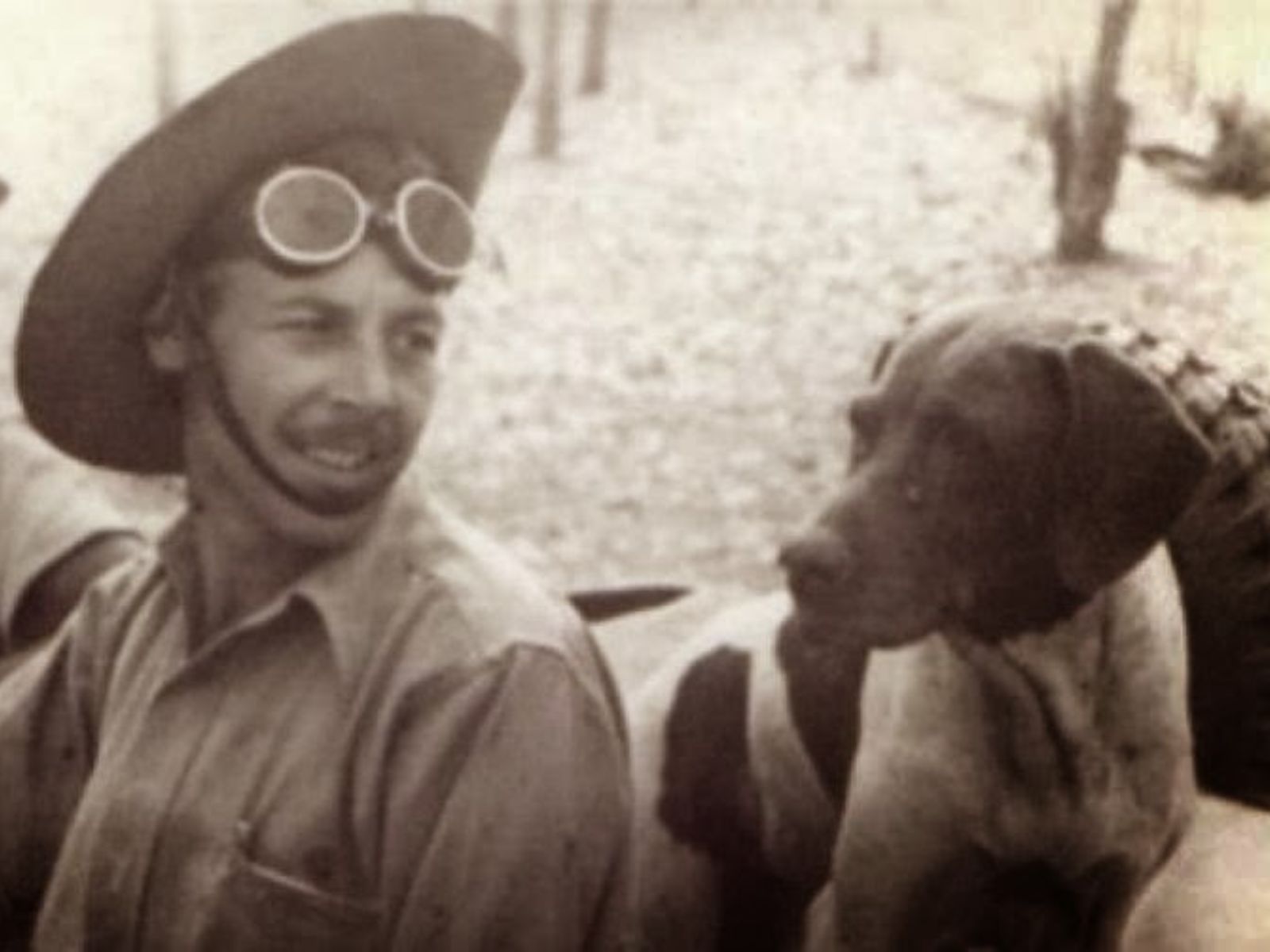 Judy: A Primeira Cadela Prisioneira de Guerra