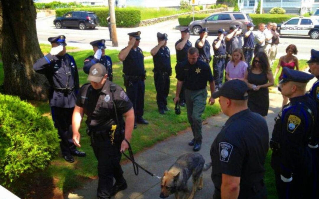 Kaiser: O Adeus ao Cão Policial Diagnosticado com Câncer