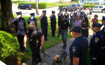 Kaiser: O Adeus ao Cão Policial Diagnosticado com Câncer