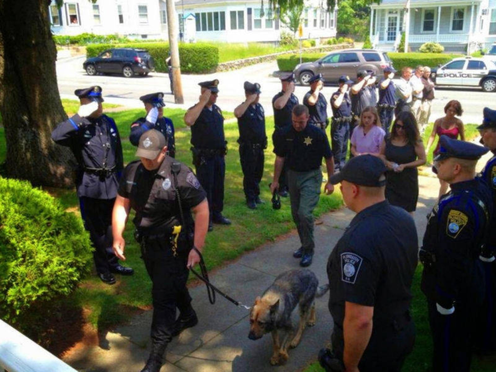 No dia 29 de março de 2013, a 'Plymouth Police Working Dog Foundation' anunciou que o cão Kaiser estava sofrendo de insuficiência renal e seria sacrificado na sexta-feira.