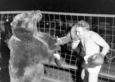 No dia 1 de março de 1949, um evento peculiar e controverso foi registrado: uma luta de boxe entre um humano e um urso. Esta luta foi capturada pela lente de Michael Rougier, um fotógrafo da Time Life, cuja imagem permanece um testemunho deste evento incomum e muito questionável sob o ponto de visto ético.