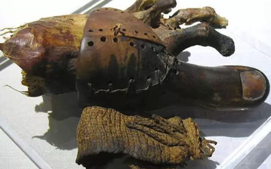 A Prótese Mais Antiga do Mundo: O Dedo de Pé de Luxor