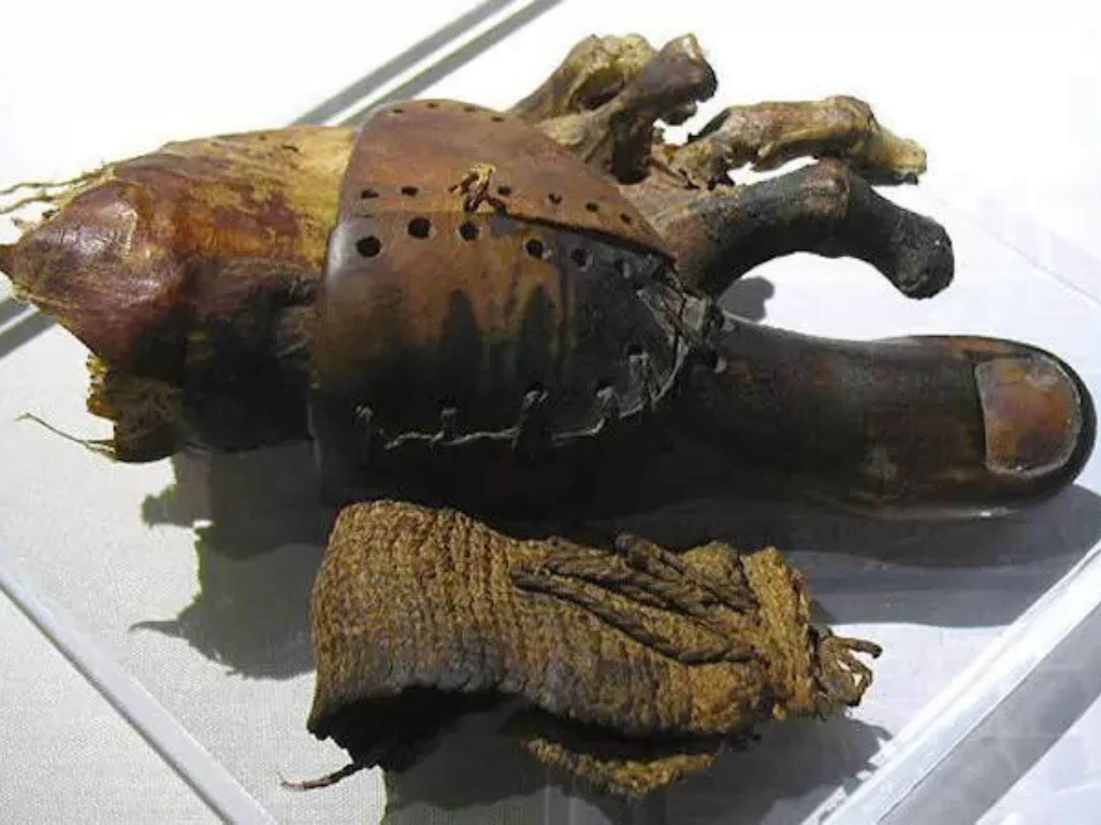 Em 2007, arqueólogos descobriram o que é considerado a prótese mais antiga do mundo: um dedo do pé artificial encontrado na região de Luxor, no Egito. A fascinante descoberta remonta ao período entre 950 e 710 a.C., ou seja, há mais de 2700 anos, durante o Terceiro Período Intermediário do Egito Antigo. Em 2007, arqueólogos descobriram o que é considerado a prótese mais antiga do mundo: um dedo do pé artificial encontrado na região de Luxor, no Egito. A fascinante descoberta remonta ao período entre 950 e 710 a.C., ou seja, há mais de 2700 anos, durante o Terceiro Período Intermediário do Egito Antigo.