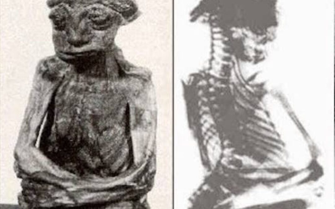 San Pedro – O Mistério da Pequena Múmia