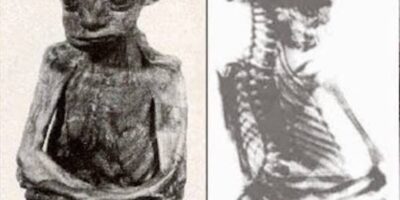 Em outubro de 1932, dois prospectores, Cecil Main e Frank Carr, descobriram a pequena múmia de San Pedro enquanto procuravam ouro no Condado de Carbon, Wyoming.