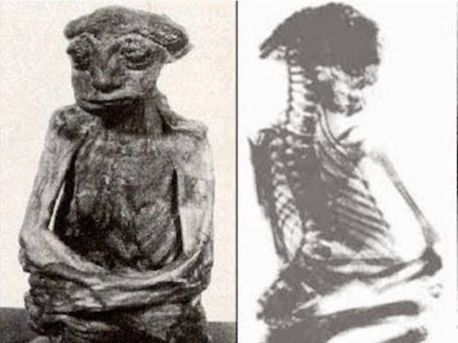 Em outubro de 1932, dois prospectores, Cecil Main e Frank Carr, descobriram a pequena múmia de San Pedro enquanto procuravam ouro no Condado de Carbon, Wyoming.