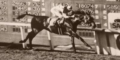 Seabiscuit foi um dos principais cavalos de corrida nos Estados Unidos, com várias conquistas. Sua história foi imortalizada em documentários, livros e filmes.