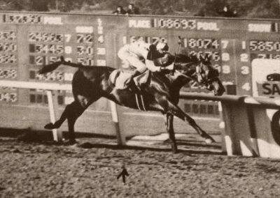 Seabiscuit foi um dos principais cavalos de corrida nos Estados Unidos, com várias conquistas. Sua história foi imortalizada em documentários, livros e filmes.