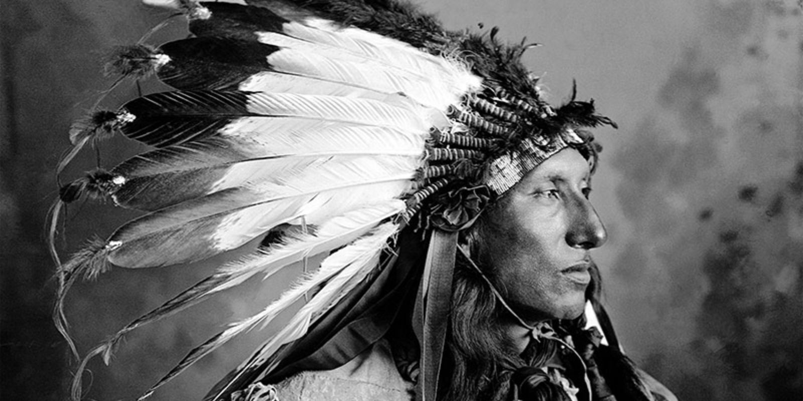 Um líder Sioux em trajes tradicionais, representando a dignidade e a força de seu povo. A imagem reflete a rica herança cultural e a importância dos líderes na preservação das tradições e na resistência contra as adversidades. A indumentária detalhada e o cocar de penas são símbolos de status e bravura.