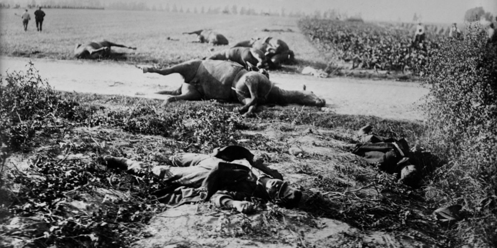 Soldados e cavalos mortos em uma estrada da Frente Ocidental. A fotografia captura o horror compartilhado por homens e animais, ambos vítimas da guerra industrial. Ao fundo, dois soldados caminham pelo campo de batalha devastado.