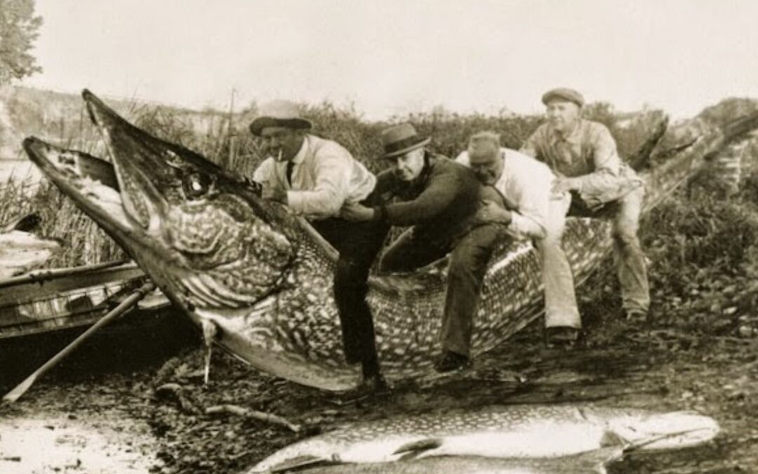 Tall Tales – As Primeiras Montagens Fotográficas da História