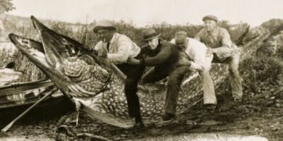 A tradição dos "tall tales" encontrou uma nova expressão através da montagem fotográfica, desde suas primeiras aplicações no século XIX até as sofisticadas manipulações digitais de hoje