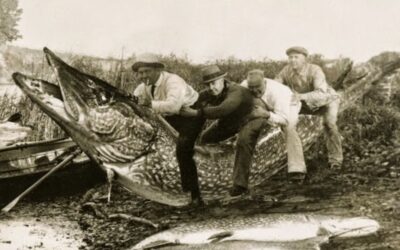 Tall Tales – As Primeiras Montagens Fotográficas da História