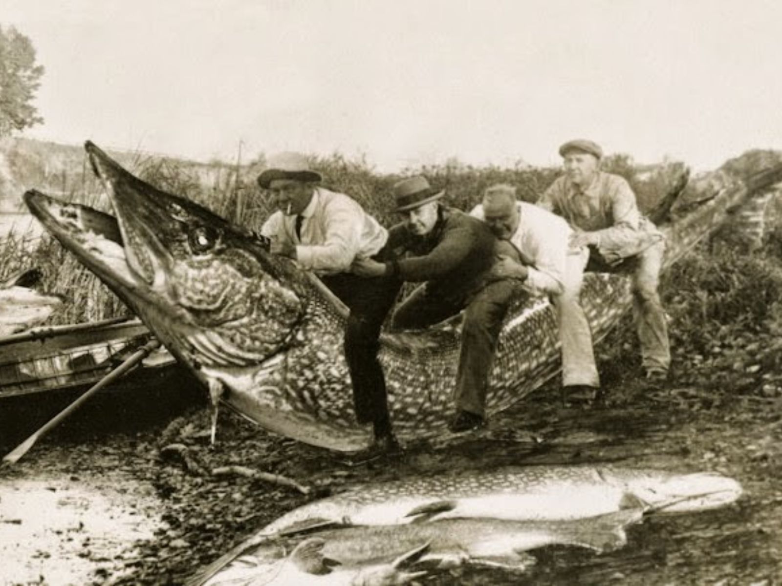 A tradição dos “tall tales” encontrou uma nova expressão através da montagem fotográfica, desde suas primeiras aplicações no século XIX até as sofisticadas manipulações digitais de hoje A tradição dos "tall tales" encontrou uma nova expressão através da montagem fotográfica, desde suas primeiras aplicações no século XIX até as sofisticadas manipulações digitais de hoje