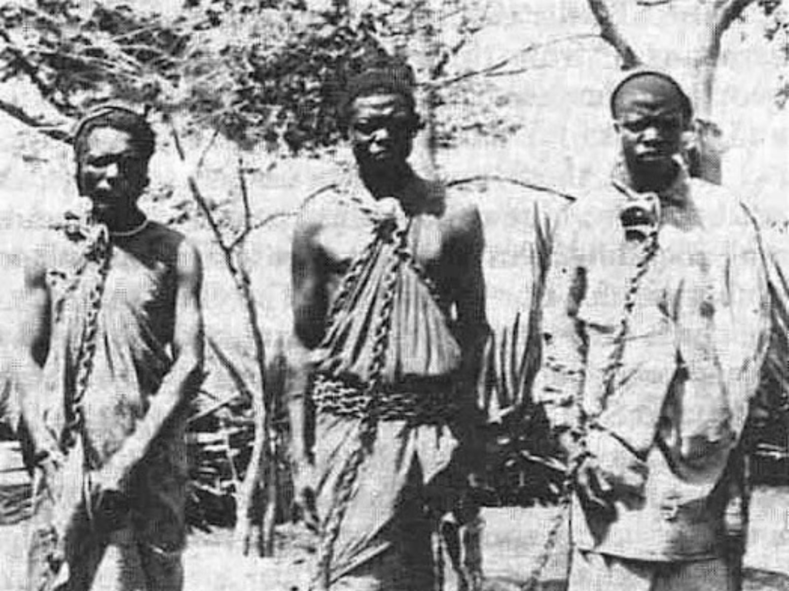 O tráfico e venda de escravos na América é um dos capítulos mais sombrios da história humana. Durante mais de três séculos, milhões de africanos foram capturados, vendidos e forçados a trabalhar em condições desumanas. O tráfico transatlântico de escravos (trafico negreiro), desempenhou um papel crucial no desenvolvimento econômico das colônias europeias na América, ao custo de um sofrimento humano imensurável.