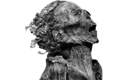 Múmia que Grita: O Mistério do “Homem Desconhecido”