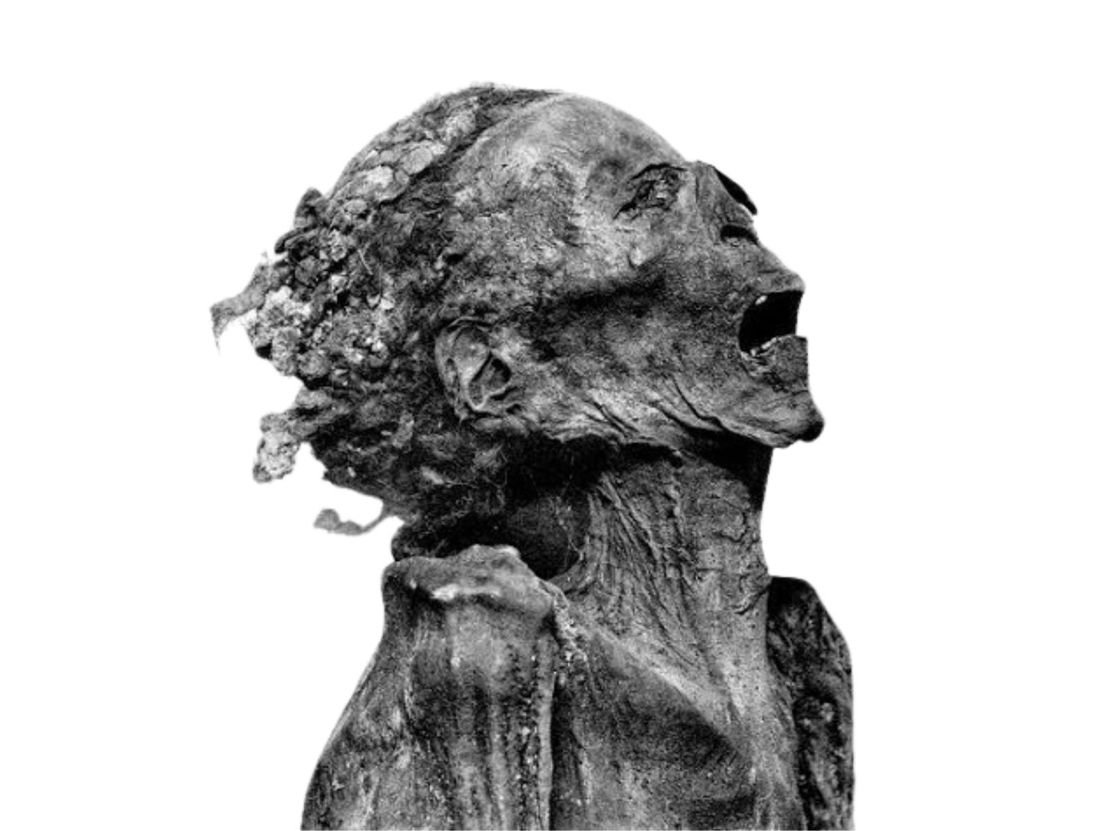 A "Múmia que Grita" é uma das descobertas mais enigmáticas da arqueologia egípcia. Encontrada em 1886 em um sarcófago sem identificação no Vale dos Reis, esta múmia, também conhecida como "Unknown Man E", despertou a curiosidade de cientistas e egiptólogos devido à sua aparência única e as circunstâncias misteriosas de sua morte.