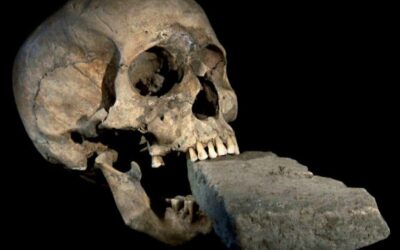 Vampiro de Veneza – O Crânio Com Um Tijolo na Boca