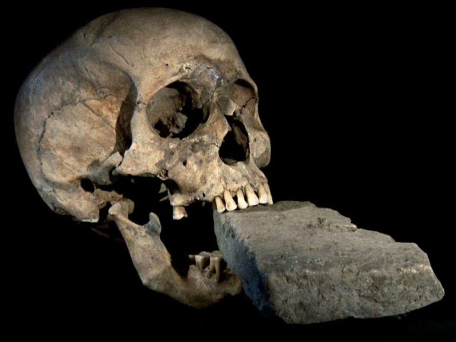 Em 2009, arqueólogos italianos fizeram uma descoberta fascinante durante uma escavação em Lazzaretto Nuovo, uma ilha na lagoa de Veneza. Um crânio com um tijolo enfiado na boca foi revelado, um achado que rapidamente ganhou a alcunha de “Vampiro de Veneza”. Em 2009, arqueólogos italianos fizeram uma descoberta fascinante durante uma escavação em Lazzaretto Nuovo, uma ilha na lagoa de Veneza. Um crânio com um tijolo enfiado na boca foi revelado, um achado que rapidamente ganhou a alcunha de "Vampiro de Veneza".