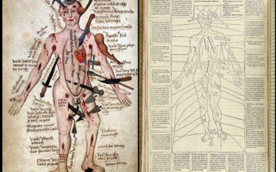 A Importância do “Wound Man” Para a Evolução da Medicina